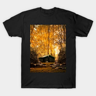 Hidden in the woods T-Shirt